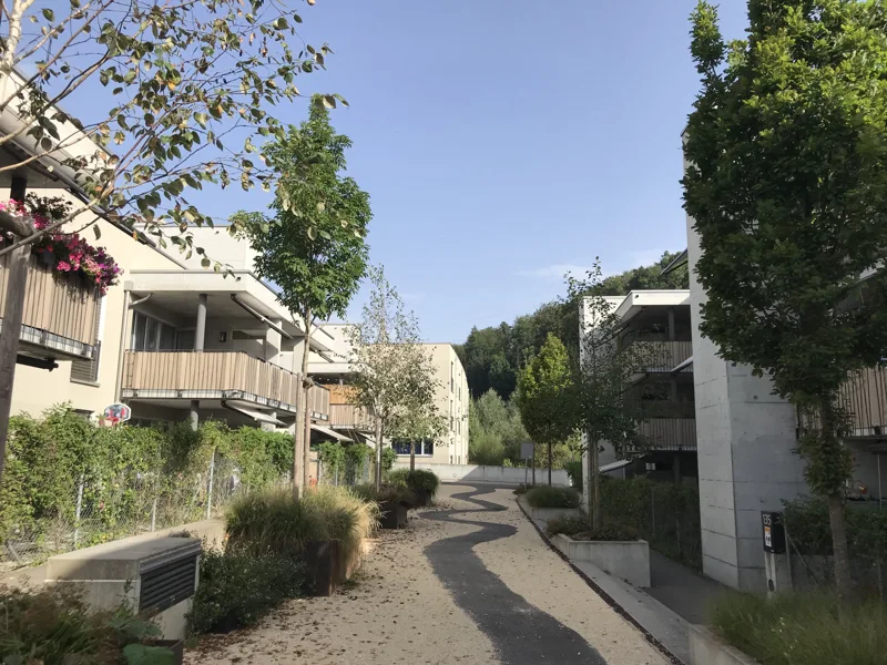 Wohnsiedlung Dättnau